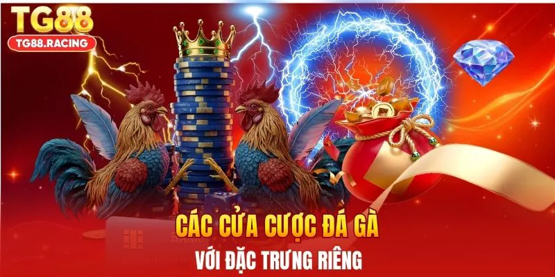 Các cửa cược đá gà với đặc trưng riêng