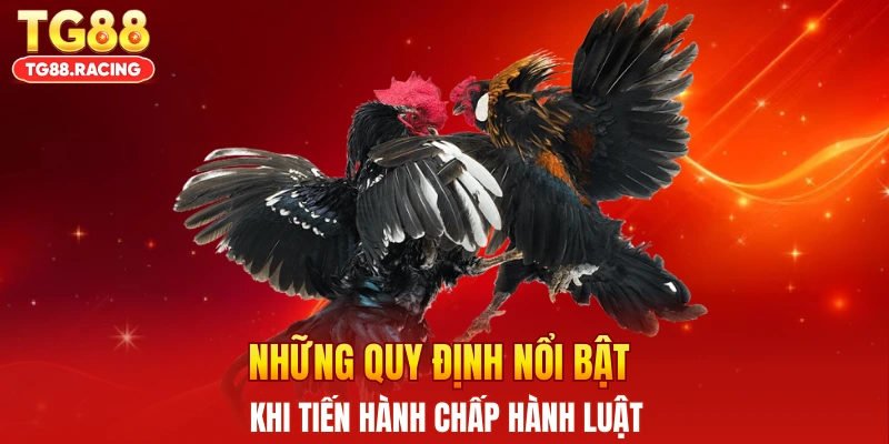 Những quy định nổi bật khi tiến hành chấp hành luật
