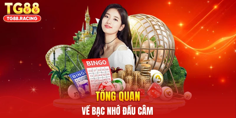 Tổng quan về bạc nhớ đầu câm